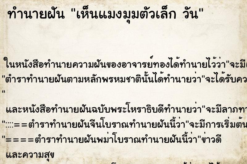 ทำนายฝันเห็นแมงมุมตัวเล็กวัน ทำนายฝันทำนายฝันเห็นแมงมุมตัวเล็กวัน